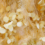 5D Beige Feather Pampas Grass Flower Wall Backdrop for Party Event Decor