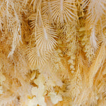 5D Beige Feather Pampas Grass Flower Wall Backdrop for Party Event Decor