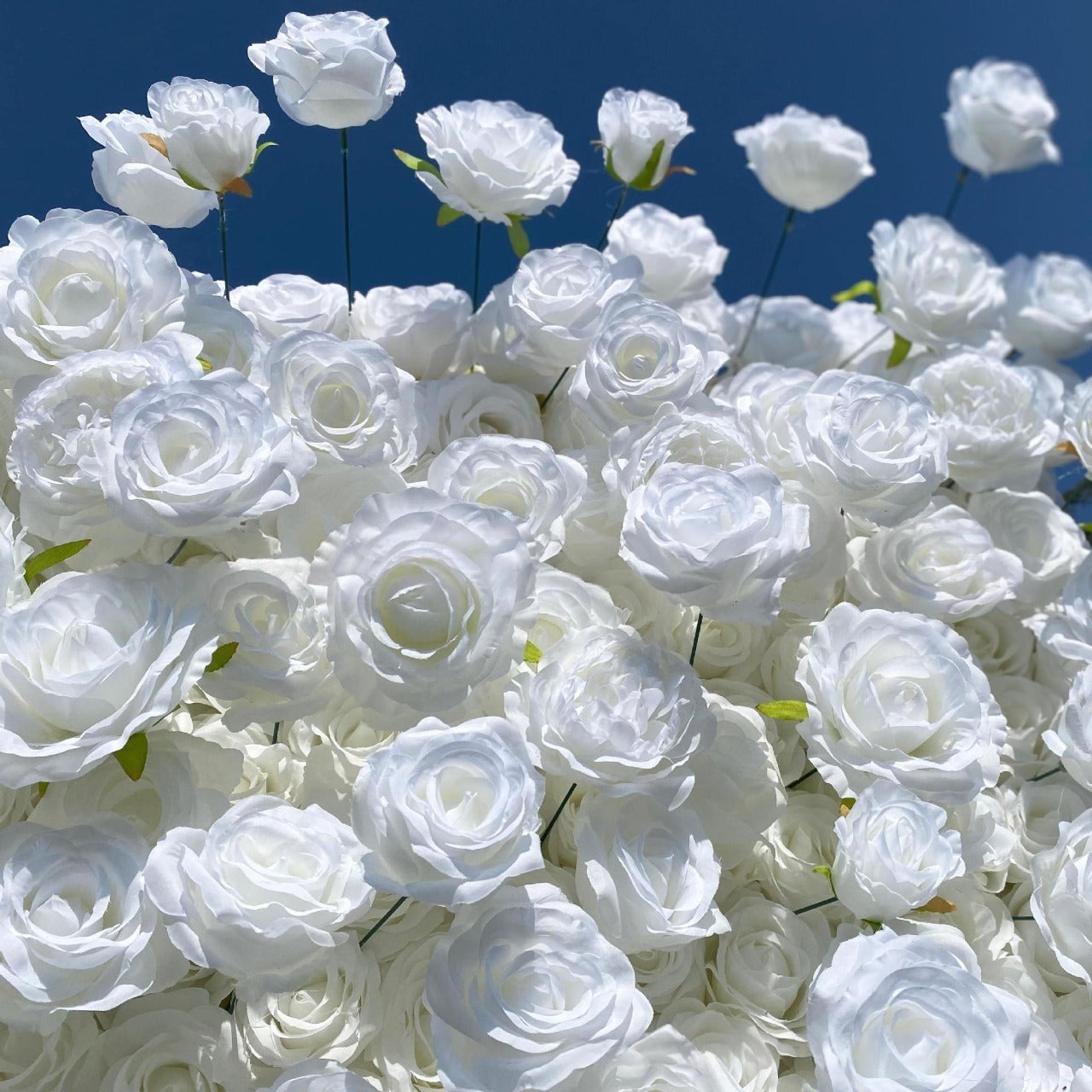 Atlasflowerswall 5D White Rose Fabric Artificial Flower Wall Wedding Event Backdrop