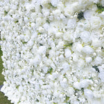 Atlasflowerswall 5D White Rose Flower Wall Backdrop for Photo Booth and Event Decor