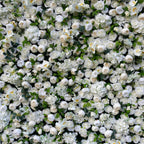 White Rose & Hydrangea Flower Wall Greenery Backdrop