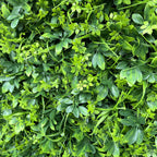 3D Green Grass Artificial Plant Wall Backdrop for Event & Party Decoration