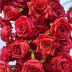 Atlasflowerswall 8x8ft Heart Shaped Red Roses Floral Arch Set Proposal Wedding Party Decor