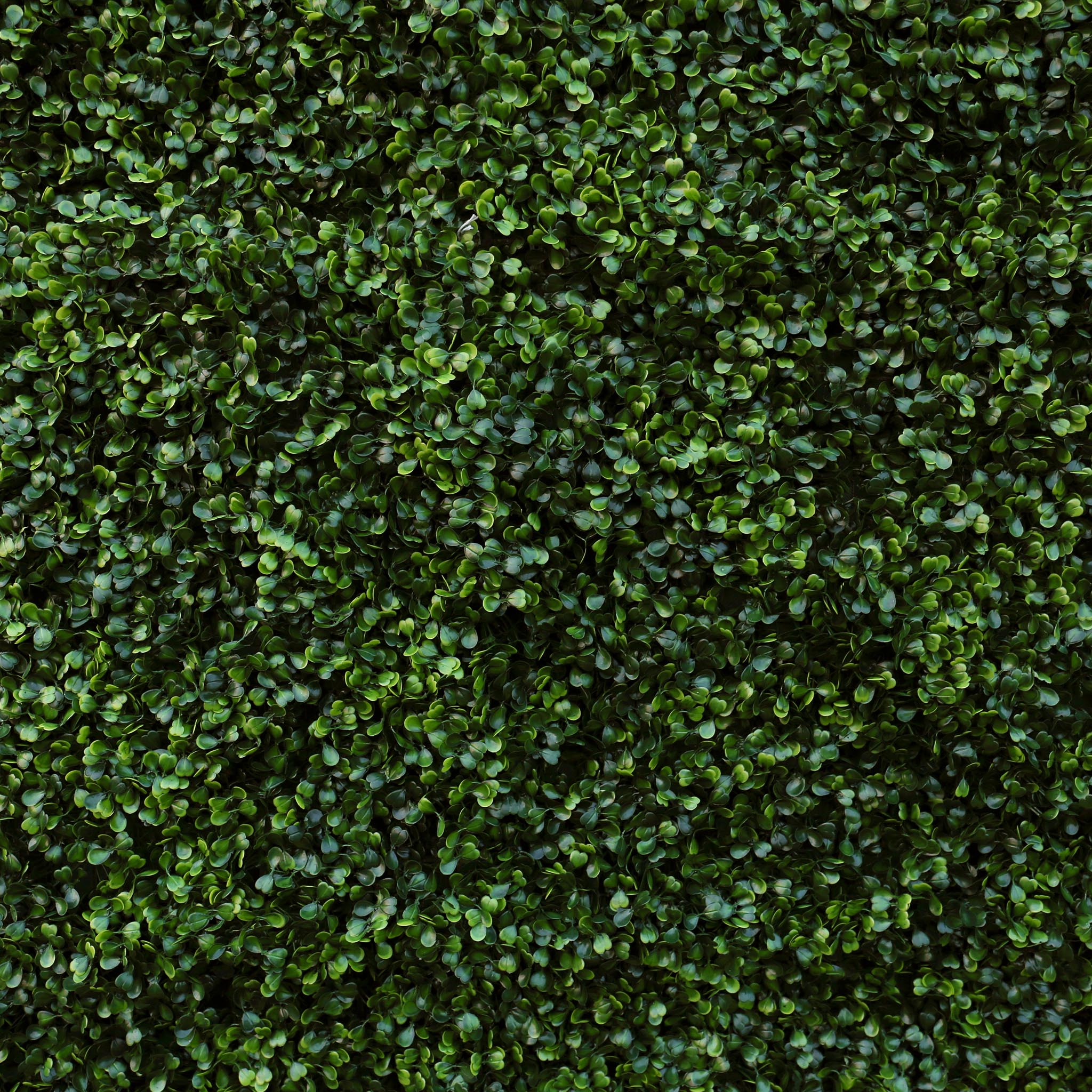 2D Milan Grass Wall Backdrop for Event Party Decor