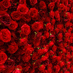 Atlasflowerswall 5D Silk Red Rose Roller Blind Flower Wall Wedding Background
