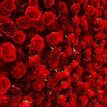 Atlasflowerswall 5D Silk Red Rose Roller Blind Flower Wall for Wedding Party Decor