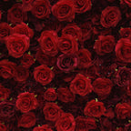 Atlasflowerswall 5D Silk Red Rose Roller Blind Flower Wall Wedding Background
