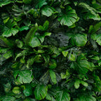 Tropical Green Wall for Events