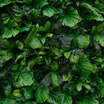 Tropical Green Wall for Events