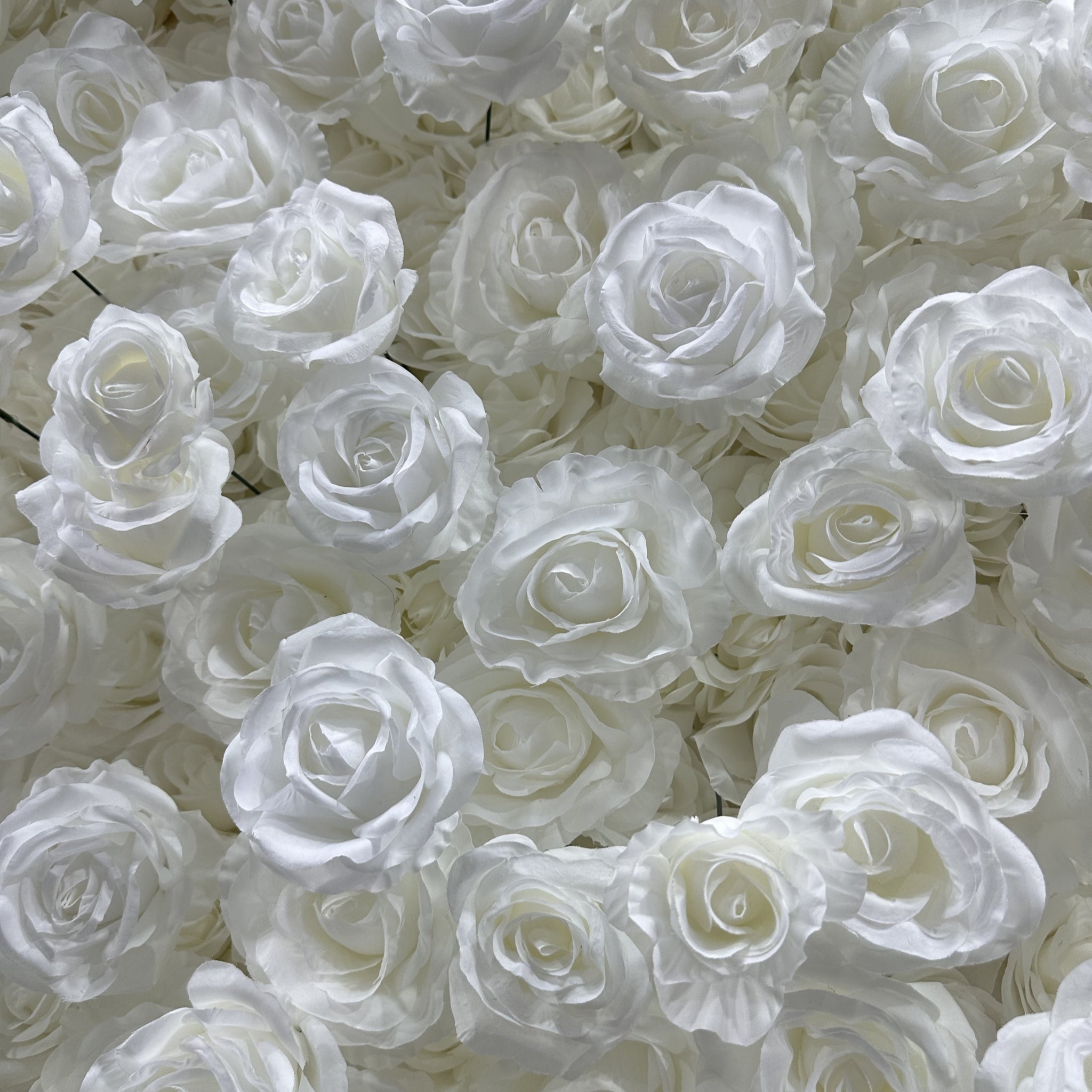 Atlasflowerswall 5D White Rose Fabric Artificial Flower Wall Wedding Event Backdrop
