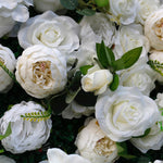 Atlasflowerswall Premium 5D White Rose & Hydrangea Flower Wall Greenery Backdrop for Wedding Event Decor